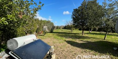 Real Estates picture 19 Ref. R29125