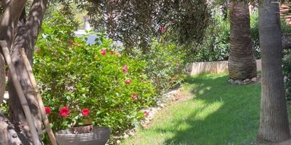 Real Estates picture 25 Ref. 84149