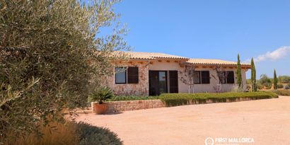 Inmobiliaria picture 8 Ref. Nº. 84202