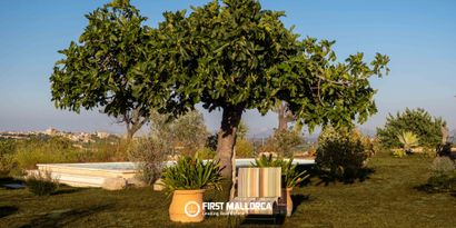Immobilien picture 4 Ref. Nr. 84019