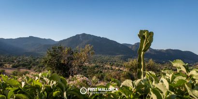 Immobilien picture 25 Ref. Nr. 84019