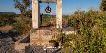 Immobilien picture 24 Ref. Nr. 84019