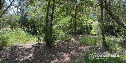 Immobilien picture 8 Ref. Nr. 83833