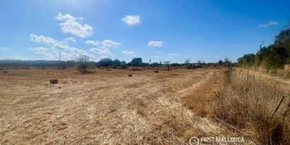 Inmobiliaria picture 1 Ref. Nº. 84254