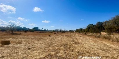 Inmobiliaria picture 5 Ref. Nº. 84254