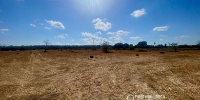 Inmobiliaria picture 0 Ref. Nº. 84254
