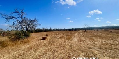 Inmobiliaria picture 3 Ref. Nº. 84254