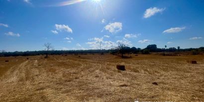 Inmobiliaria picture 4 Ref. Nº. 84254