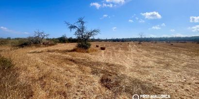 Inmobiliaria picture 6 Ref. Nº. 84254