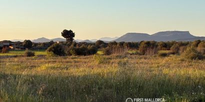 Inmobiliaria picture 0 Ref. Nº. 84240