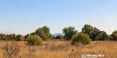 Inmobiliaria picture 7 Ref. Nº. 84240