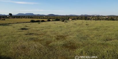 Inmobiliaria picture 8 Ref. Nº. 84240
