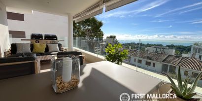 Inmobiliaria picture 0 Ref. Nº. 54671