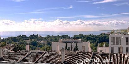 Inmobiliaria picture 3 Ref. Nº. 54671