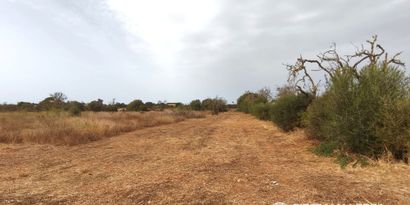 Inmobiliaria picture 2 Ref. Nº. 84295