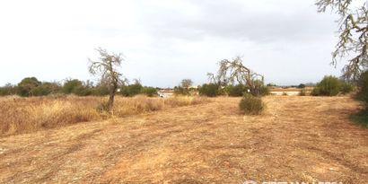 Inmobiliaria picture 3 Ref. Nº. 84295