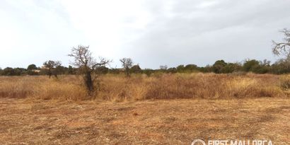 Inmobiliaria picture 4 Ref. Nº. 84295