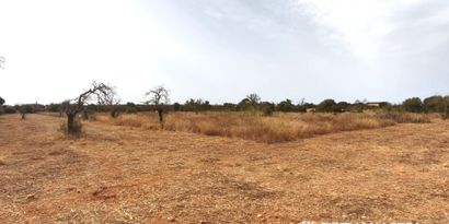 Inmobiliaria picture 1 Ref. Nº. 84295