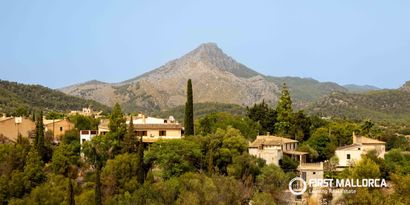 Inmobiliaria picture 2 Ref. Nº. 83620
