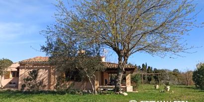 Real Estates picture 28 Ref. R28957