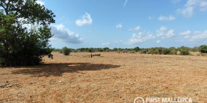 Inmobiliaria picture 7 Ref. Nº. 84289