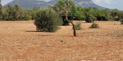 Inmobiliaria picture 0 Ref. Nº. 84289