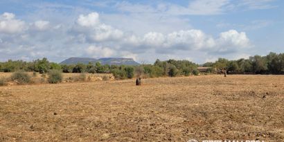 Inmobiliaria picture 3 Ref. Nº. 84289