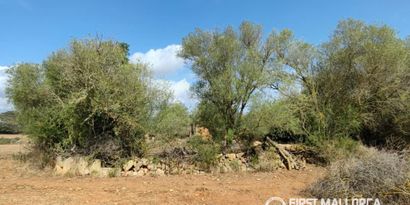 Inmobiliaria picture 10 Ref. Nº. 84289