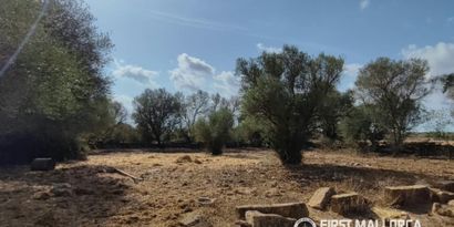 Inmobiliaria picture 5 Ref. Nº. 84289