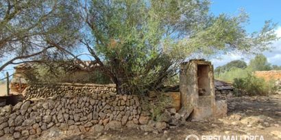 Inmobiliaria picture 4 Ref. Nº. 84289
