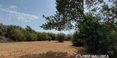 Inmobiliaria picture 6 Ref. Nº. 84289