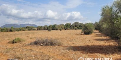 Inmobiliaria picture 9 Ref. Nº. 84289