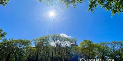 Inmobiliaria picture 29 Ref. Nº. 83795