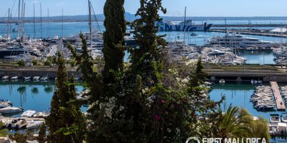 Inmobiliaria picture 18 Ref. Nº. 84303