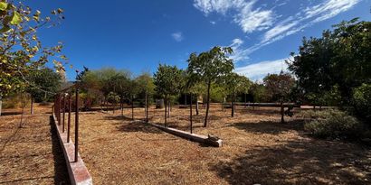 Inmobiliaria picture 40 Ref. Nº. 84313