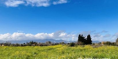 Inmobiliaria picture 3 Ref. Nº. 78813