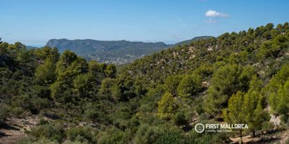 Inmobiliaria picture 17 Ref. Nº. 84387