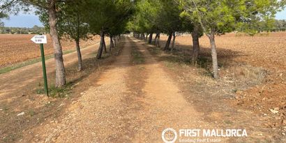 Inmobiliaria picture 4 Ref. Nº. 84421
