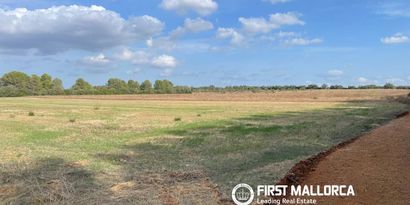 Inmobiliaria picture 1 Ref. Nº. 84421