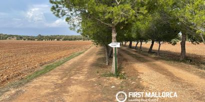 Inmobiliaria picture 0 Ref. Nº. 84421