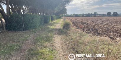 Inmobiliaria picture 3 Ref. Nº. 84421