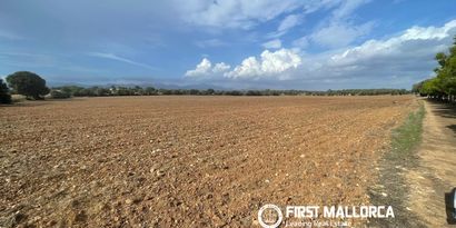Inmobiliaria picture 2 Ref. Nº. 84421