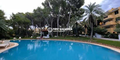 Real Estates picture 0 Ref. Nr. R26732