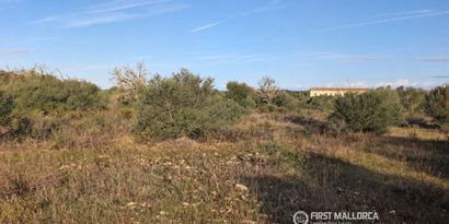 Real Estates picture 3 Ref. 84362