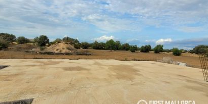 Inmobiliaria picture 4 Ref. Nº. 84380