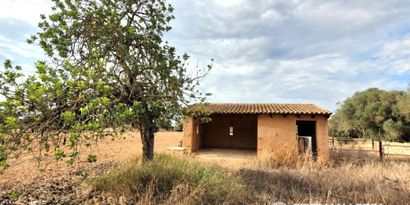 Inmobiliaria picture 1 Ref. Nº. 84380