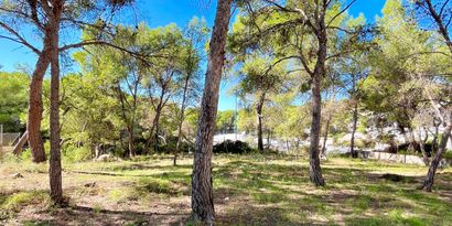 Inmobiliaria picture 2 Ref. Nº. 82192