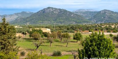 Immobilien picture 39 Ref. Nr. 77280