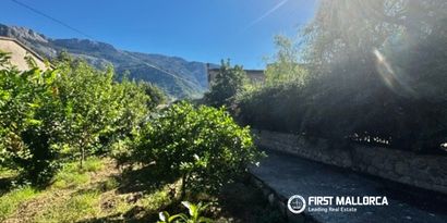 Immobilien picture 7 Ref. Nr. 84432