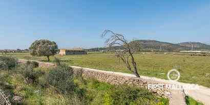 Real Estates picture 10 Ref. 53013